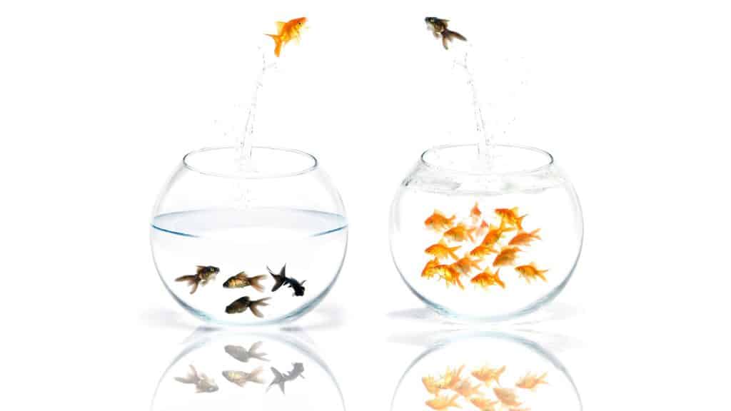 שיטת סחר חליפין