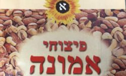 פיצוחי-אמונה